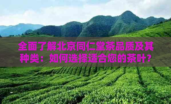 全面了解北京同仁堂茶品质及其种类：如何选择适合您的茶叶？