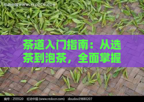 茶道入门指南：从选茶到泡茶，全面掌握泡茶步骤与技巧