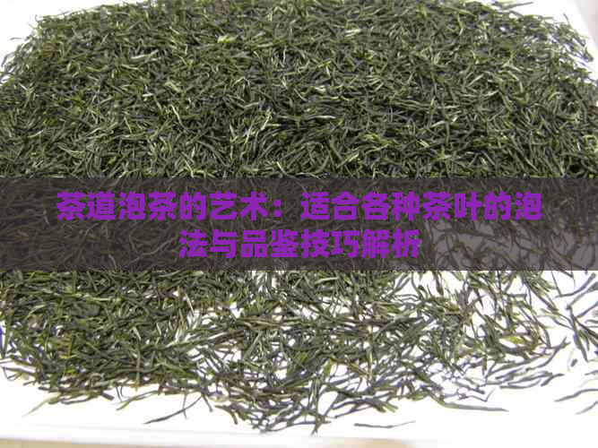 茶道泡茶的艺术：适合各种茶叶的泡法与品鉴技巧解析