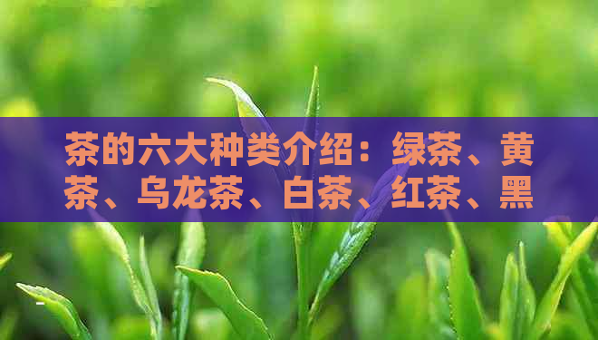 茶的六大种类介绍：绿茶、黄茶、乌龙茶、白茶、红茶、黑茶。