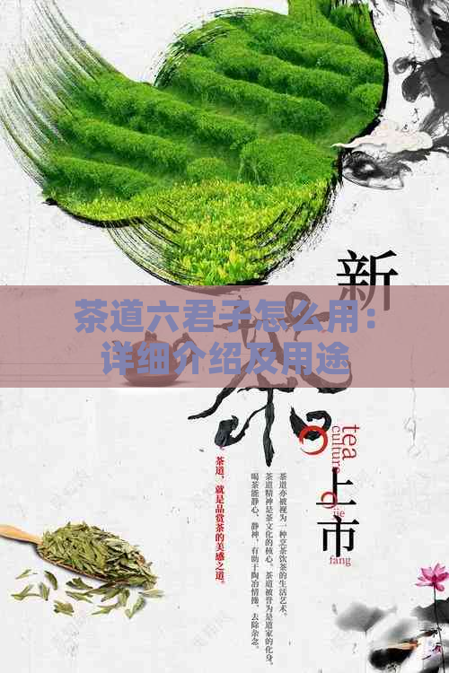 茶道六君子怎么用：详细介绍及用途