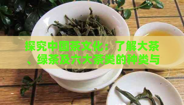 探究中国茶文化：了解大茶、绿茶及六大茶类的种类与特点