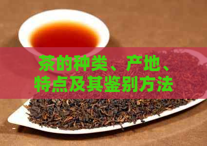 茶的种类、产地、特点及其鉴别方法：全面了解茶文化与品饮技巧