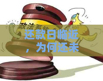 还款日临近，为何还未收到银行电话？解答用户可能的疑惑