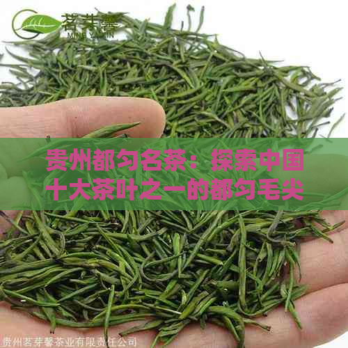 贵州都匀名茶：探索中国十大茶叶之一的都匀毛尖与普洱茶