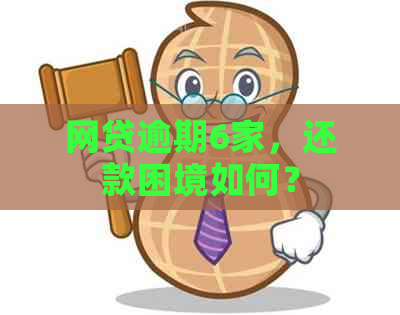 网贷逾期6家，还款困境如何？