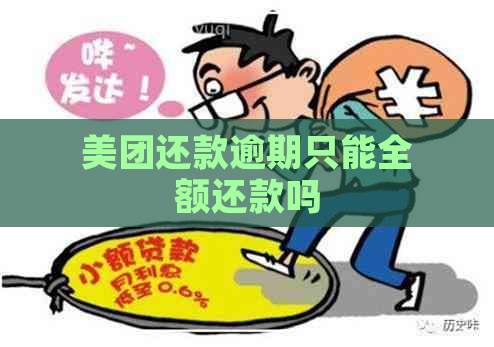 美团还款逾期只能全额还款吗