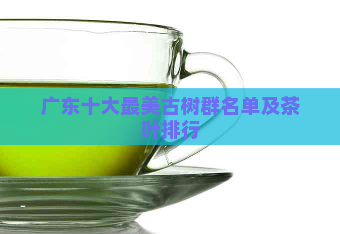 广东十大最美古树群名单及茶叶排行