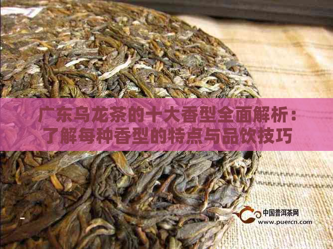 广东乌龙茶的十大香型全面解析：了解每种香型的特点与品饮技巧