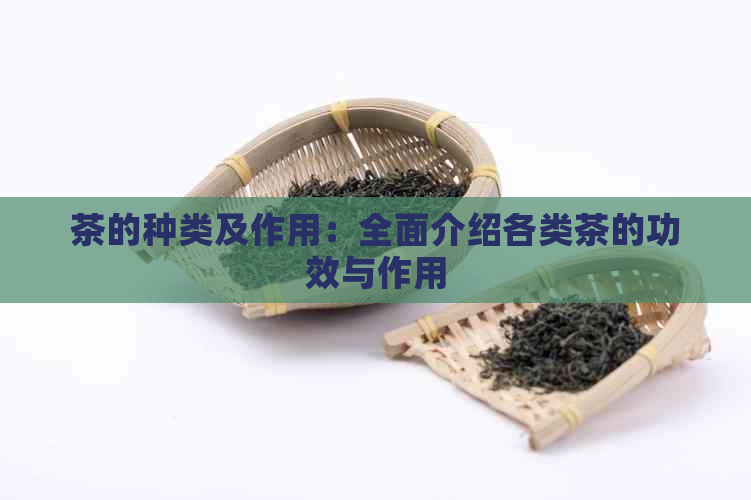 茶的种类及作用：全面介绍各类茶的功效与作用