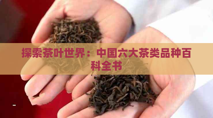 探索茶叶世界：中国六大茶类品种百科全书