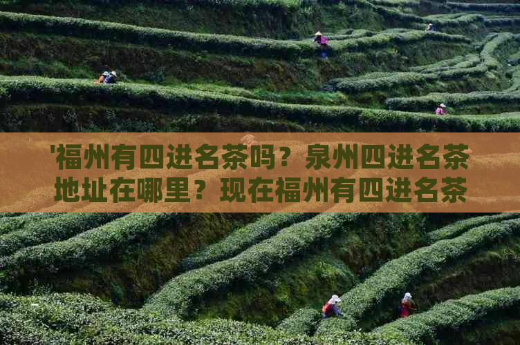 '福州有四进名茶吗？泉州四进名茶地址在哪里？现在福州有四进名茶吗？'