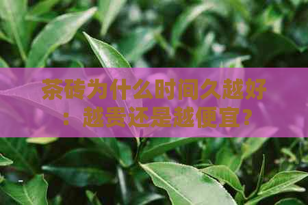 茶砖为什么时间久越好：越贵还是越便宜？