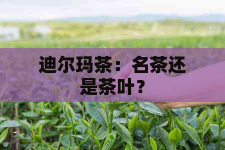 迪尔玛茶：名茶还是茶叶？