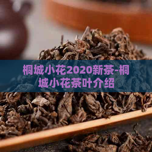 桐城小花2020新茶-桐城小花茶叶介绍