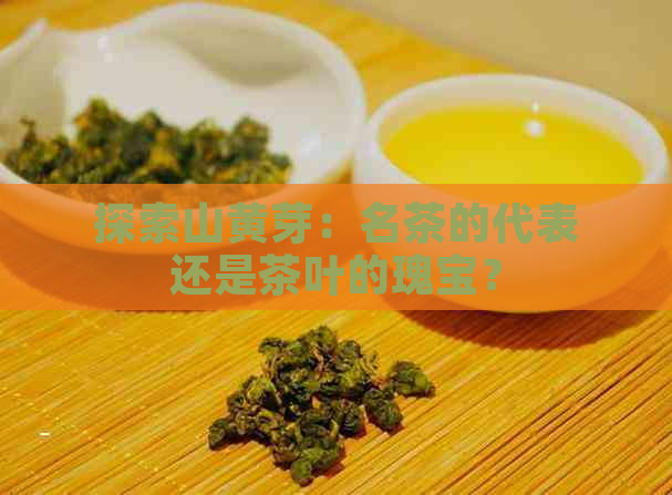 探索山黄芽：名茶的代表还是茶叶的瑰宝？