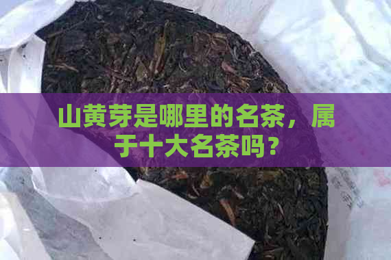 山黄芽是哪里的名茶，属于十大名茶吗？