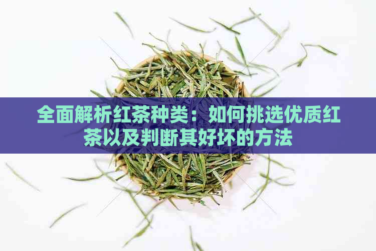 全面解析红茶种类：如何挑选优质红茶以及判断其好坏的方法