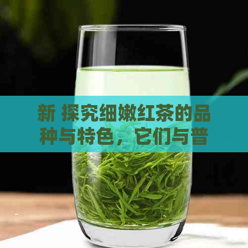 新 探究细嫩红茶的品种与特色，它们与普洱茶和普洱的关系是什么？