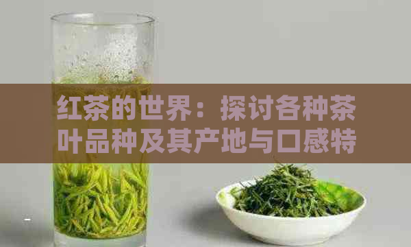 红茶的世界：探讨各种茶叶品种及其产地与口感特点