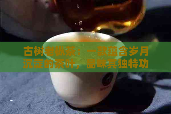 古树老枞茶：一款蕴含岁月沉淀的茶叶，品味其独特功效与风味