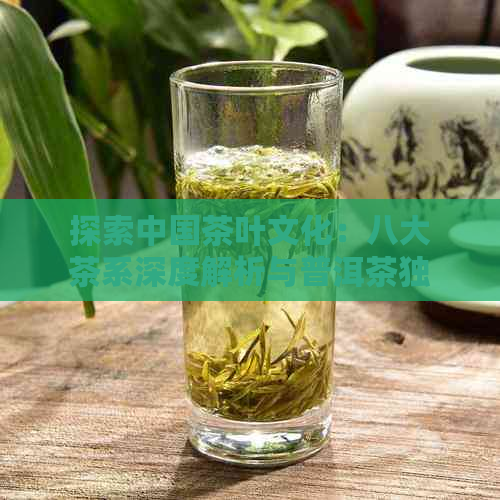 探索中国茶叶文化：八大茶系深度解析与普洱茶独特魅力对比