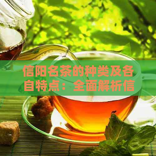 信阳名茶的种类及各自特点：全面解析信阳茶叶的分类与品鉴