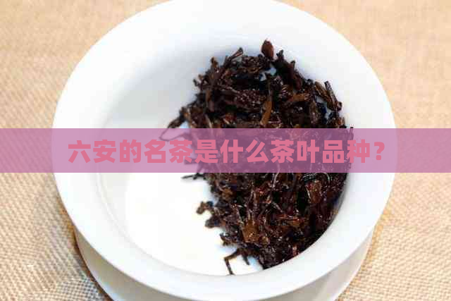 六安的名茶是什么茶叶品种？