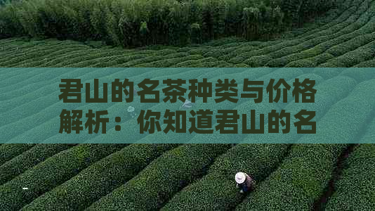 君山的名茶种类与价格解析：你知道君山的名茶是什么吗？