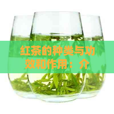 红茶的种类与功效和作用：介绍多种红茶及其健效益