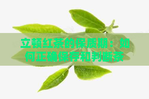 立顿红茶的保质期：如何正确保存和判断茶叶是否过期？