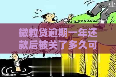 微粒贷逾期一年还款后被关了多久可以再借：解决方案和重新借款时间