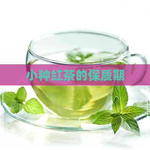 小种红茶的保质期