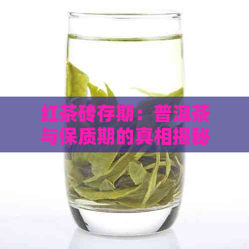 红茶砖存期：普洱茶与保质期的真相揭秘