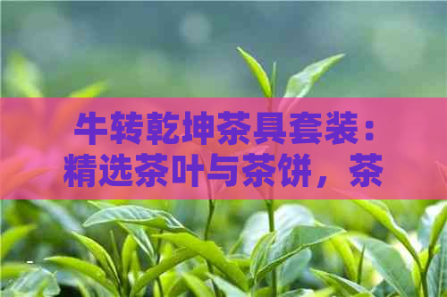 牛转乾坤茶具套装：精选茶叶与茶饼，茶杯，熟茶，尽在这款茶具中！