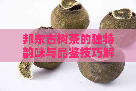 邦东古树茶的独特韵味与品鉴技巧解析