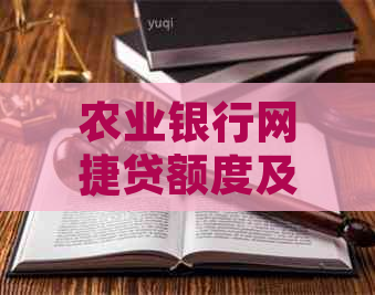 农业银行网捷贷额度及期限解析：小额贷款多久能审批下来？