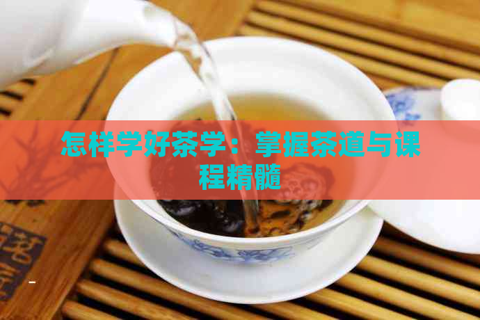 怎样学好茶学：掌握茶道与课程精髓