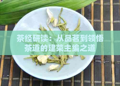 茶经研读：从品茗到领悟茶道的建荣主编之道