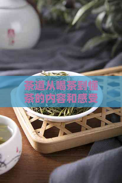 茶道从喝茶到懂茶的内容和感受：英语探讨