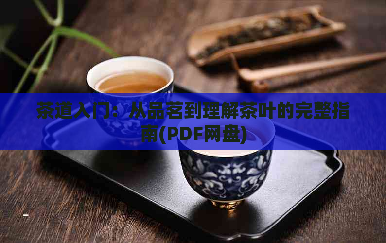 茶道入门：从品茗到理解茶叶的完整指南(PDF网盘)