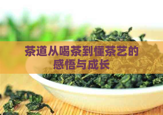 茶道从喝茶到懂茶艺的感悟与成长