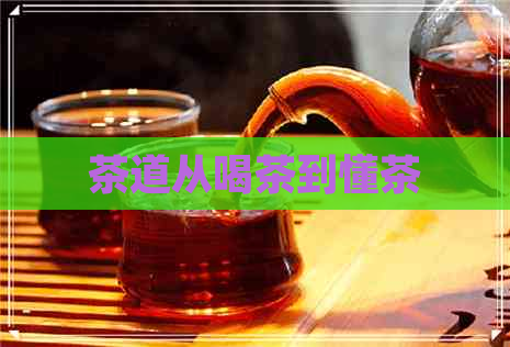 茶道从喝茶到懂茶