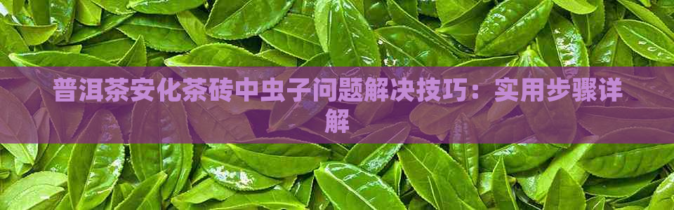 普洱茶安化茶砖中虫子问题解决技巧：实用步骤详解