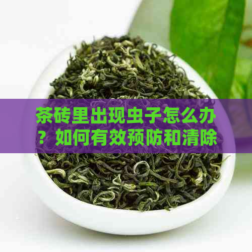 茶砖里出现虫子怎么办？如何有效预防和清除茶砖中的虫害？