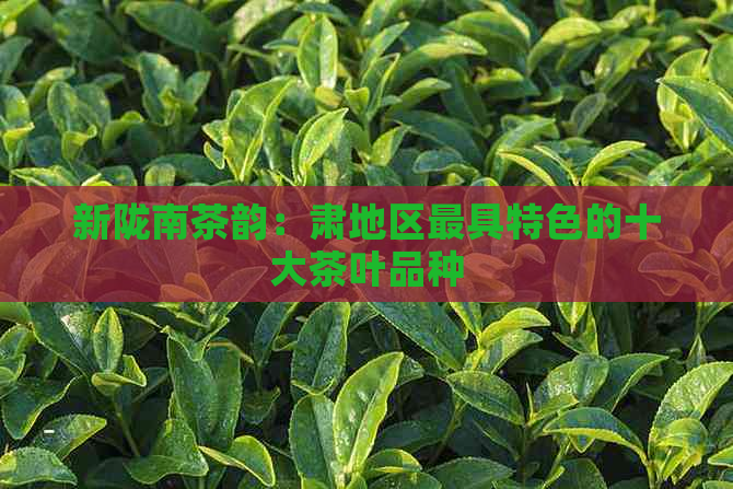 新陇南茶韵：肃地区更具特色的十大茶叶品种