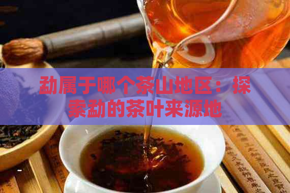 勐属于哪个茶山地区：探索勐的茶叶来源地