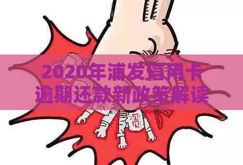 2020年浦发信用卡逾期还款新政策解读与应对策略