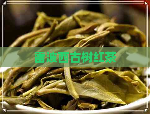 雷波西古树红茶