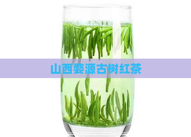 山西婺源古树红茶